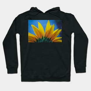 Sunflower Hoodie